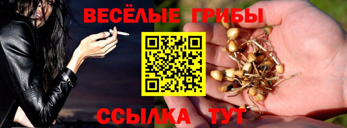 Псилоцибиновые грибы Cubensis Орехово-Зуево